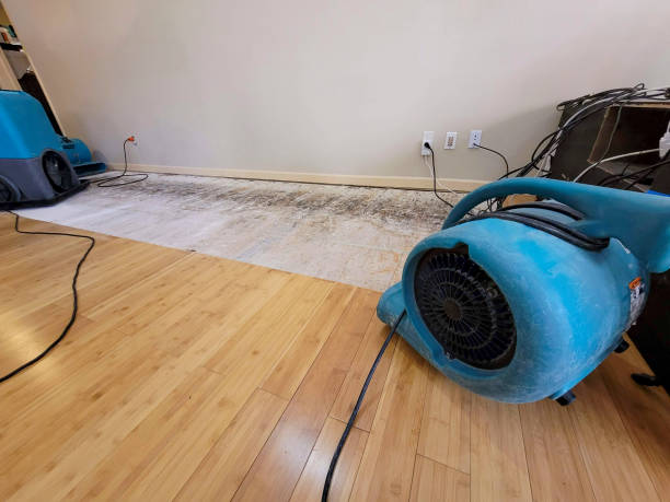 Professional Emergency Water Damage technician working in Kenneth, MN